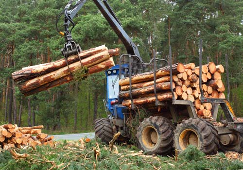 Forestry & Wood Working